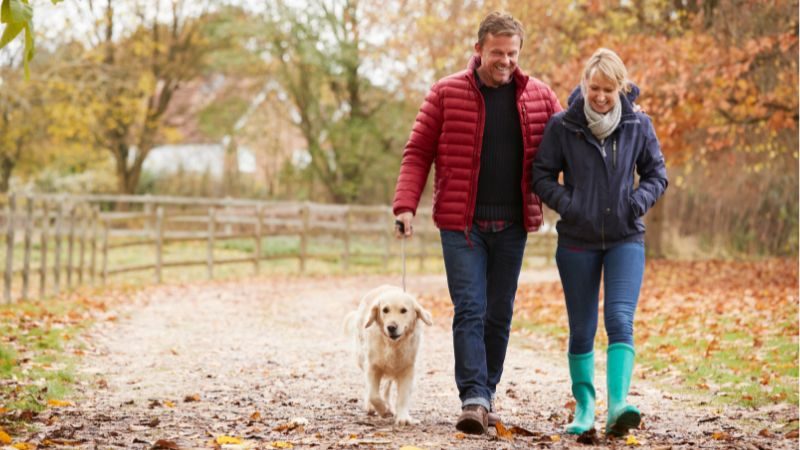 Gut gerüstet für den Herbst-Diese Nährstoffe halten Sie gesund