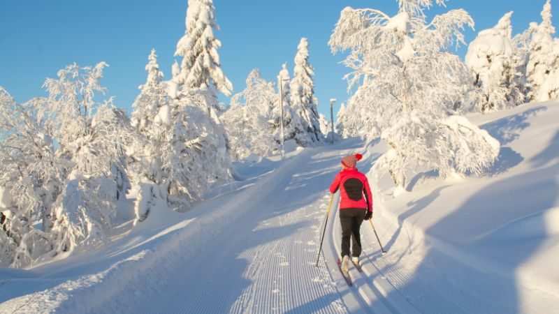 langläuferin bewegt sich auf einer loipe umgben von einer wunderschönen sonnigen winterlandschaft