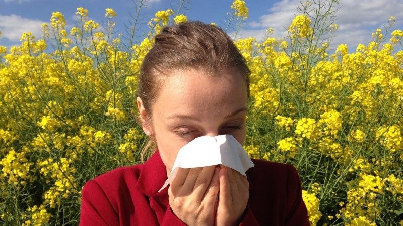allergie