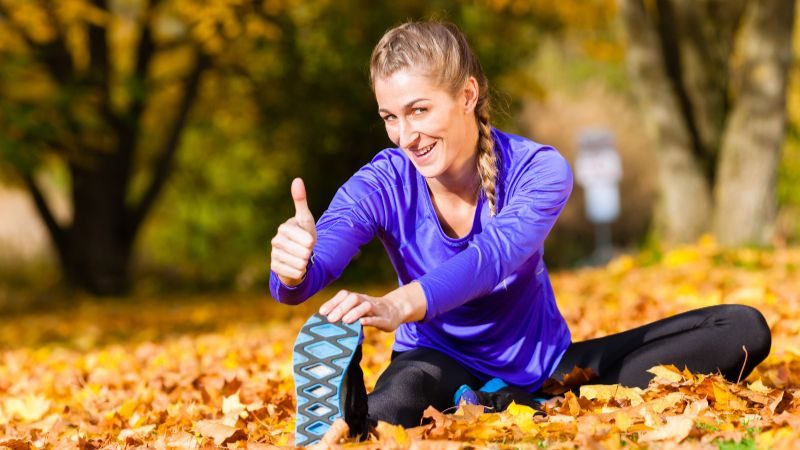 cover_herbst-spo_800x450