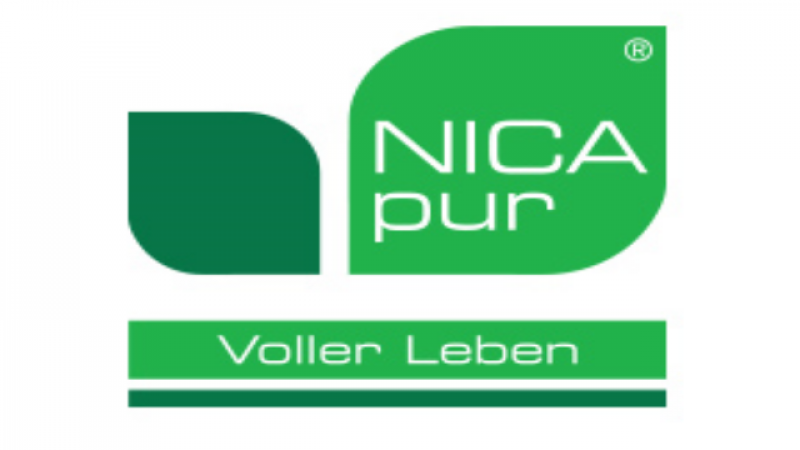 nicapur_logo