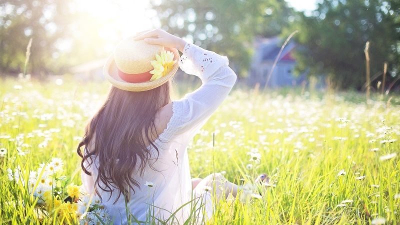 sommer_01 800x450